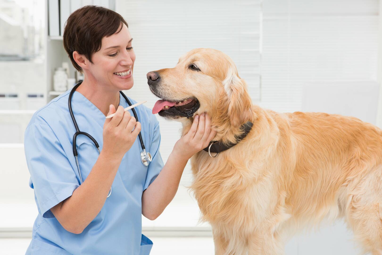 Trail-Side Tails Pet Care Boise