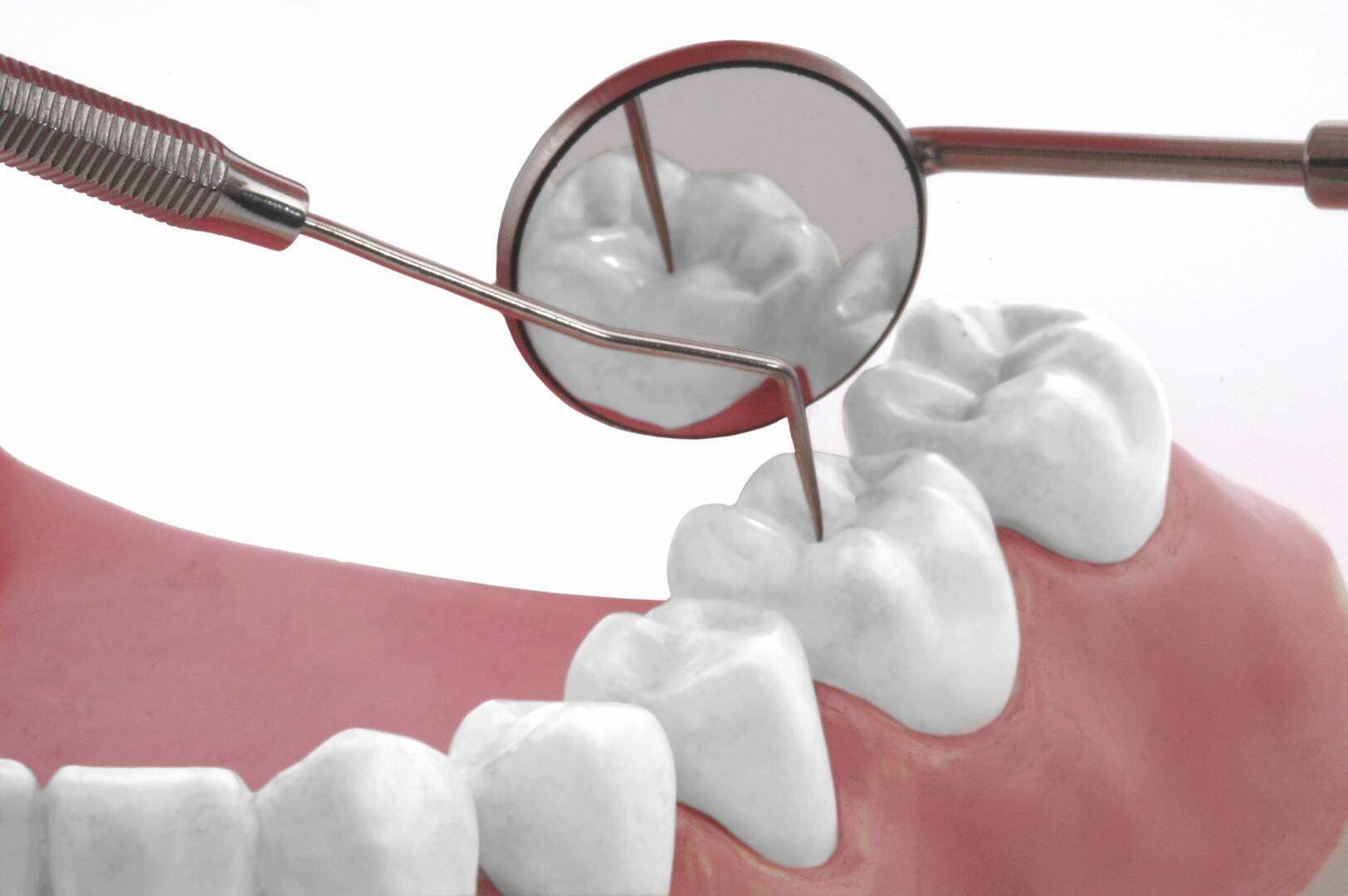 Louisa Gallegos, DDS